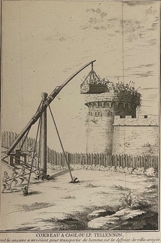 Corbeau cage tellenon - ou,