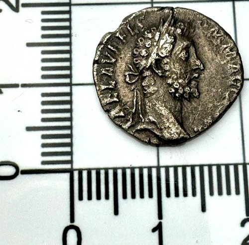 X556 commodo denario romano - denario,